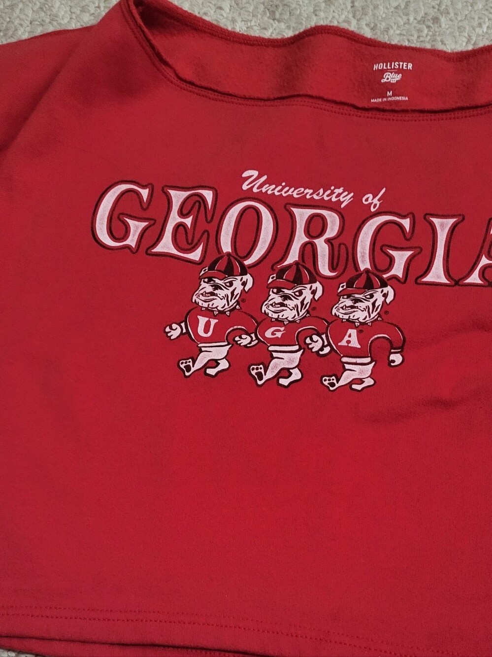 Hollister University of Georgia Off The Shoulder Crop Top Sweater